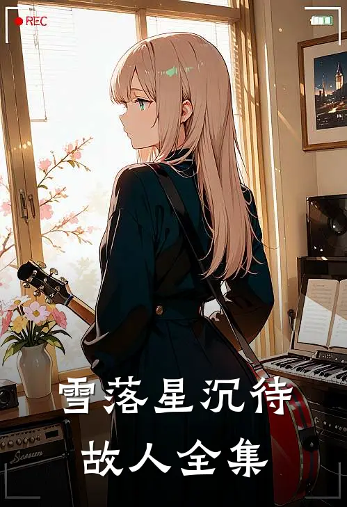 雪落星沉待故人全集