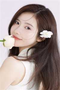 情深不寿终成影免费阅读全文