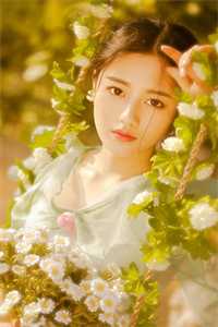 协议婚姻变真爱，先婚后爱太上头傅景洲沈枝意无删减全文