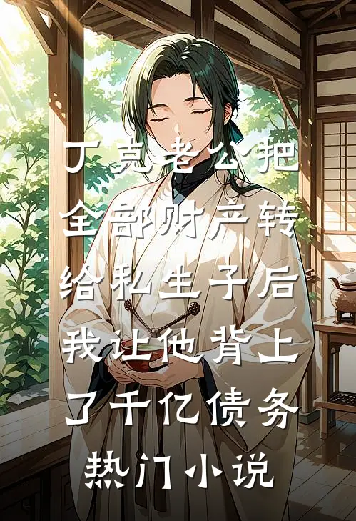丁克老公把全部财产转给私生子后，我让他背上了千亿债务热门小说