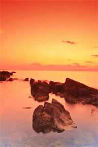 半盏花灯枕明月列表