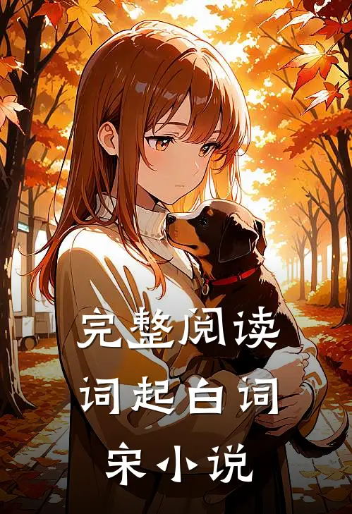 完整阅读词起白词宋小说