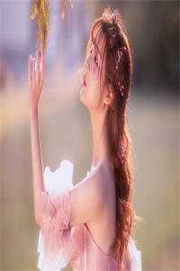 奈何偏爱做惊鸿苏禾陆时逸无删减+无广告