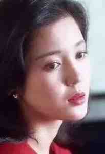 半生风雪不只你全文阅读最新