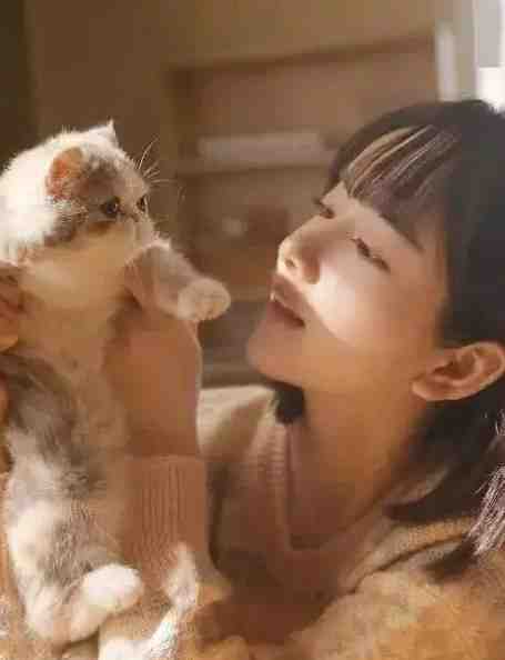 赌石无敌后，大佬排队找我高口碑