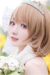 婚不宜迟裴淮序苏青瓷小说