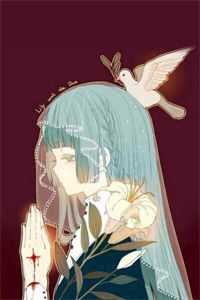 半生相逢皆过客高口碑