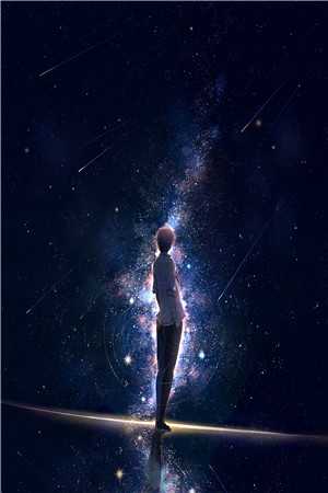 一夜风吹絮抖音热门