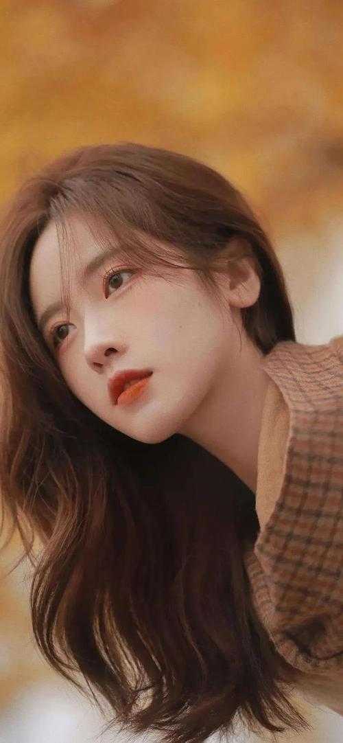 晚风寄往无尽夏完本