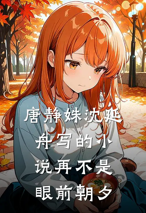 唐静姝沈延舟写的小说再不是眼前朝夕