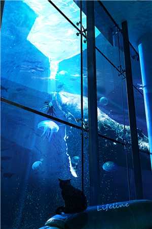 故山犹负平生约姜蔻徐毕归全局