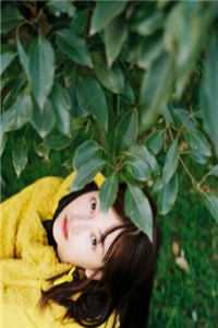 云烟故去，此身是客阅读