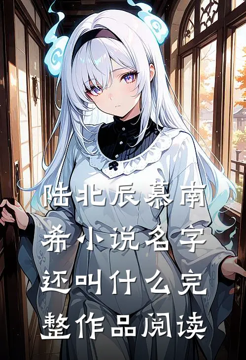 陆北辰慕南希小说名字还叫什么完整作品阅读