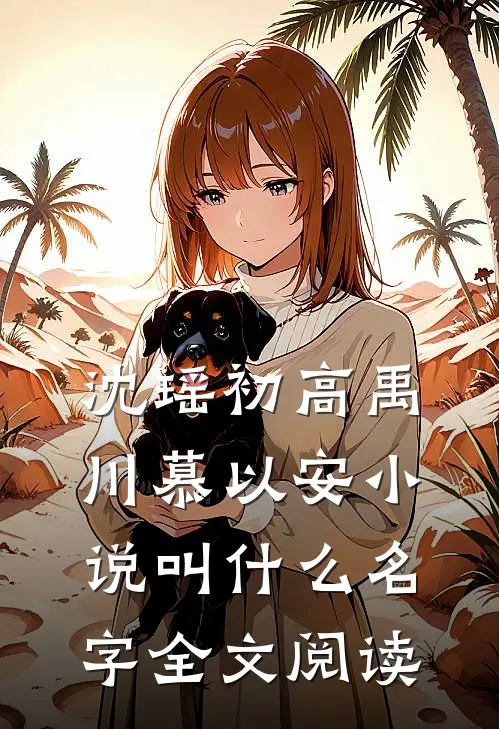 沈瑶初高禹川慕以安小说叫什么名字全文阅读