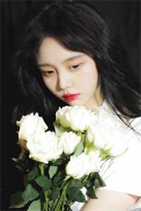 楼台高悬映月必读文