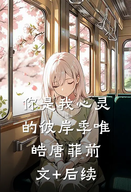 你是我心灵的彼岸季唯皓唐菲前文+后续