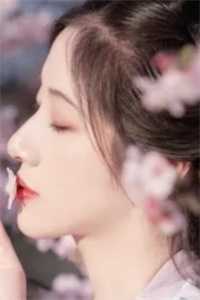 开局买到假避子汤，我御前孕吐了广告+结局