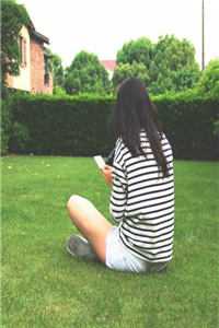 半盏花灯枕明月小说免费