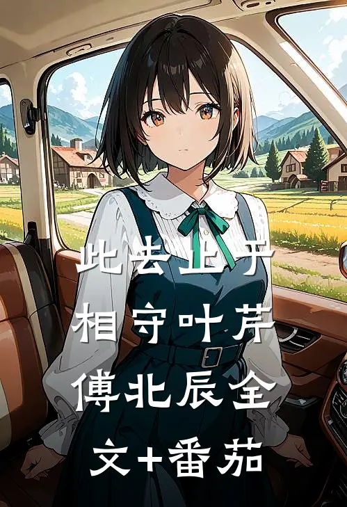 此去止于相守叶芹傅北辰全文+番茄