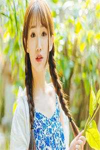 爱已随云起风散爽文