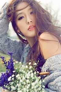 婉星碎尽，旧梦难寻结局+后续