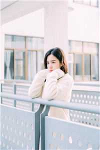 他恋恋春冬畅读