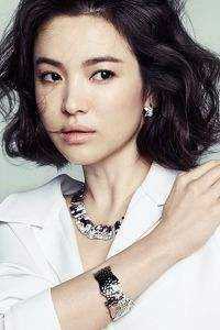 晚昭同归烟火处章节