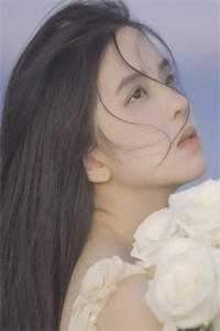 晚风寻遍人间月阅读