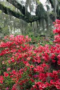 财务自由后，吸血家人发疯了全章节阅读