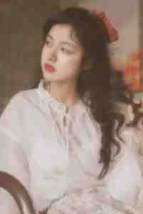 八零大院，京城军少的乡下未婚妻许京砚林山茶全集