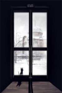 被假千金抢对象，另嫁首长被亲哭优质全文阅读