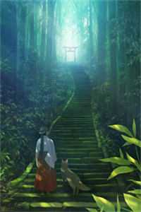 妻子的天价蜜月连载