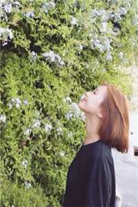 冬雪怜月明全集