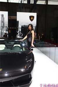 无句不忆韶华全篇