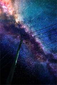 新婚当天，新郎是妻子白月光后续+无弹窗