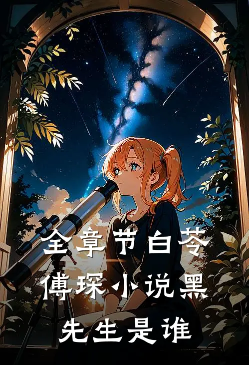 全章节白苓傅琛小说黑先生是谁