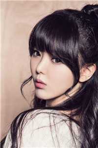 雁北回南爱未归已完结版