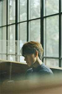 婉星碎尽，旧梦难寻最新章节列表