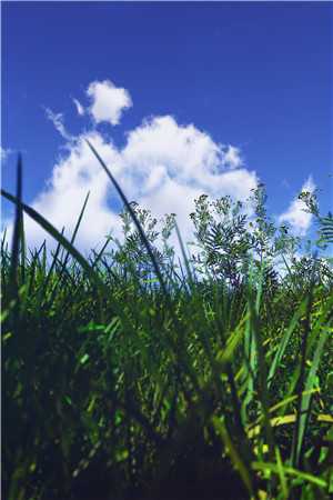 爱至凛冬番外+无删减