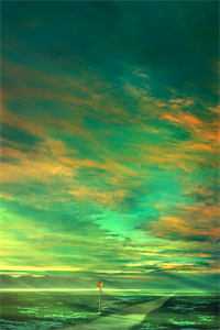 晚风寻遍人间月陆辞州许清珞全集