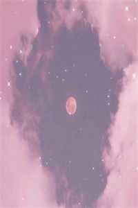 忽遇人间雪满楼全新