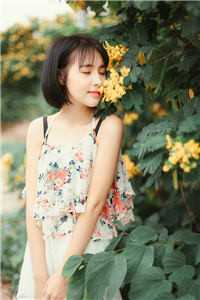 等到秋寒已尽在线