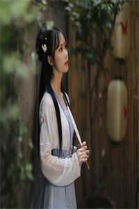 恰似明月鉴我心畅销巨著