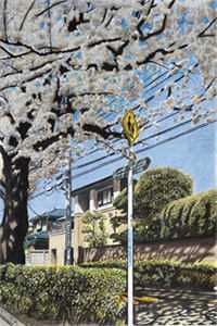 暮云深处有相思林婉赵华庭无删减+无广告