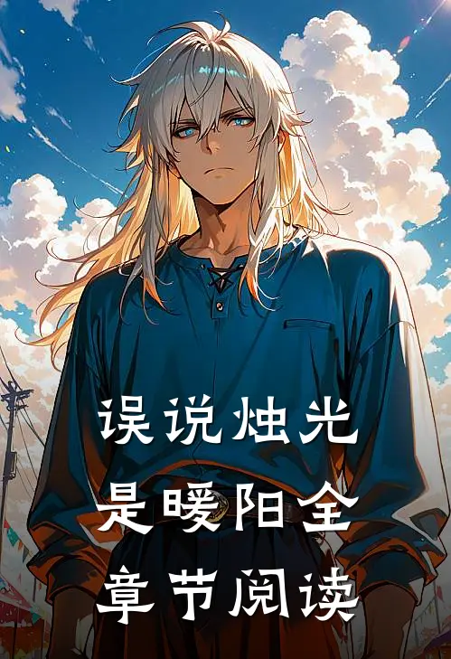 误说烛光是暖阳全章节阅读