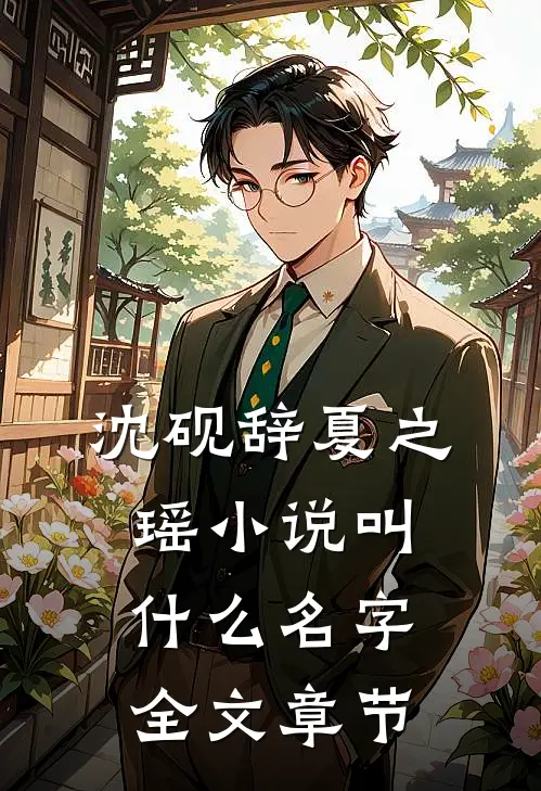 沈砚辞夏之瑶小说叫什么名字全文章节