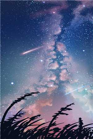 十三载浓墨总相宜前文+