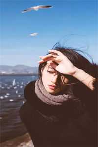 奈何偏爱做惊鸿全集